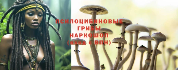 бошки Богданович