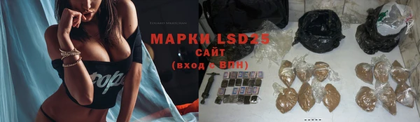mix Богородицк