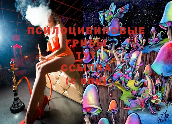 дживик Сосновка