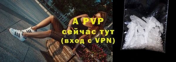 бошки Богданович