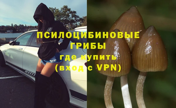 mix Богородицк