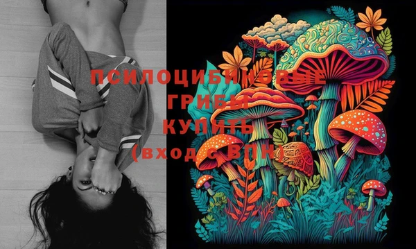 первитин Сосновый Бор