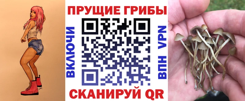 Псилоцибиновые грибы Cubensis  Крымск 